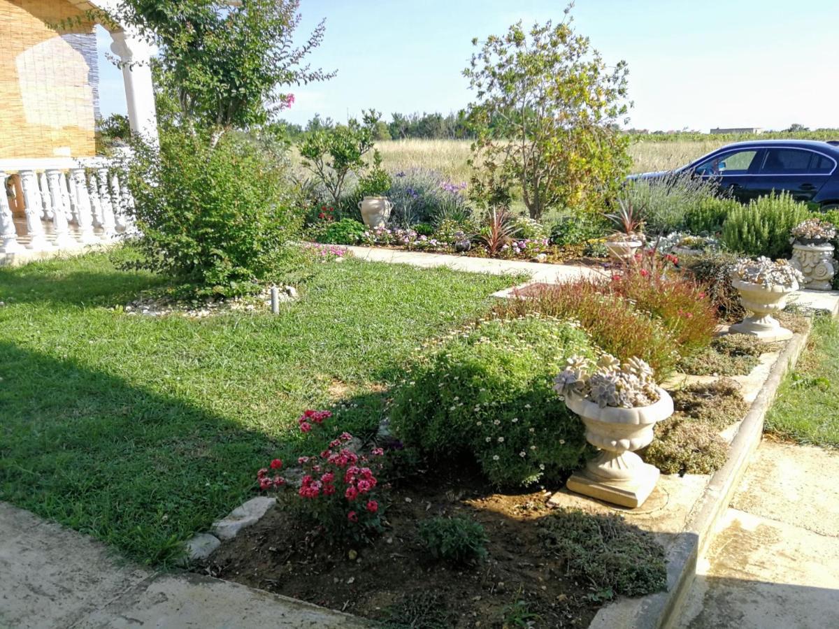 Villa Flora Maris Apartments Privlaka  Bagian luar foto